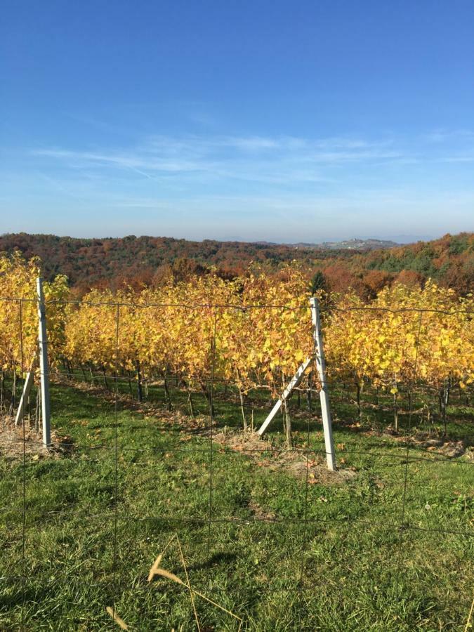 Riegler'S Buschenschank Fürstenfeld エクステリア 写真